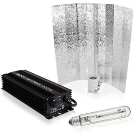 Kit iluminacion 600w Dutch Vanguard