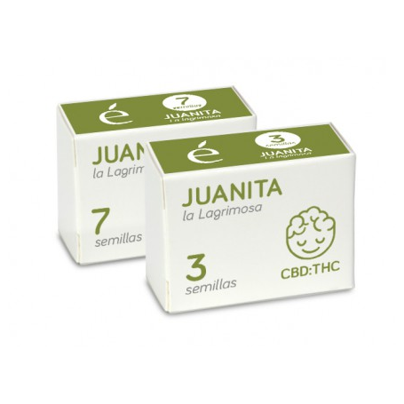 Juanita la Lagrimosa CBD Elite Seeds