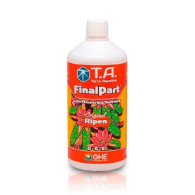 Final Part GHE (Ripen)