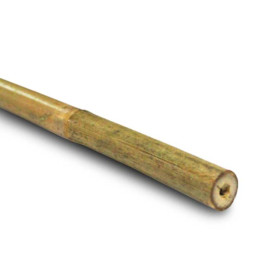Tutor bambu 150cm