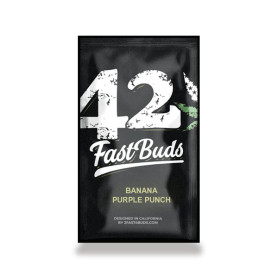 Banana Purple Auto Fast Buds Seeds