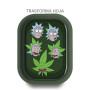 RICK MORTY HOJA MARIHUANA