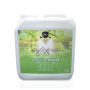 Nano M fertilizante para plantas madre