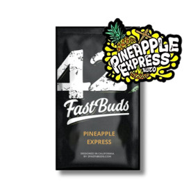 Pineapple Express Auto Fast Buds Seeds