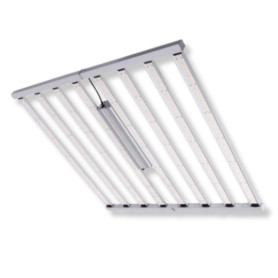 Led 1000w Cosmos Spider