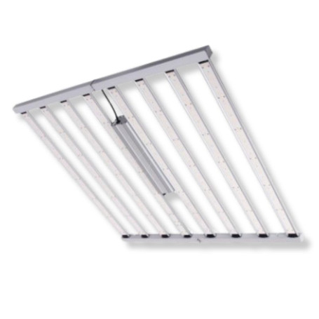 Led 1000w Cosmos Spider