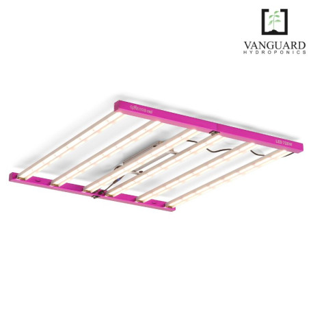 LED Cosmos Elite nuevo