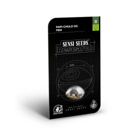 Semillas marihuana Papi Chulo OG Sensi Seeds