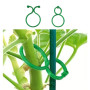 entutorar plantas marihuana y tomates