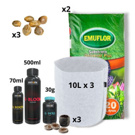 Kit de cultivo marihuana autofloracion