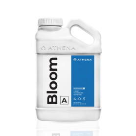 Bloom A Athena