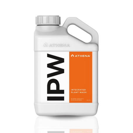IPW Athena