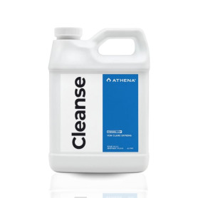 Cleanse Athena