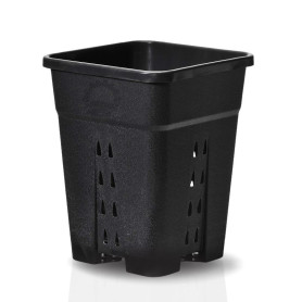 LED POT