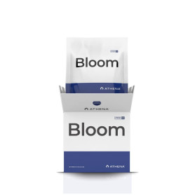 Pro Bloom Athena
