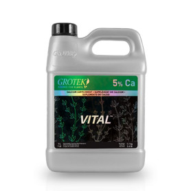 Vital Grotek