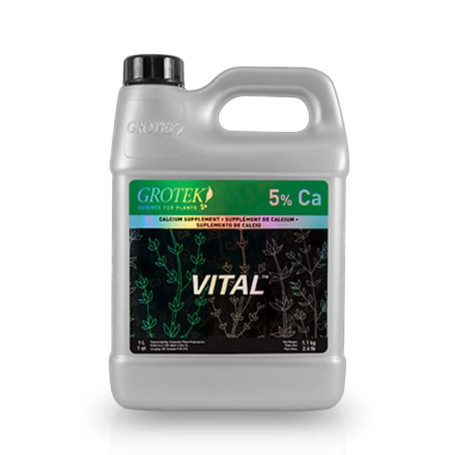 Vital Grotek