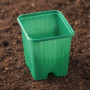 Maceta esqueje verde 0.20L