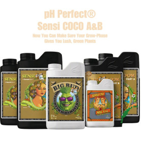 Coco basico Pack Advanced Nutrients
