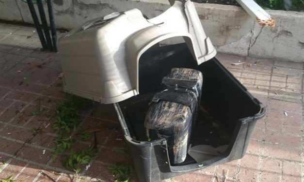 11 kilos de marihuana caida desde el cielo