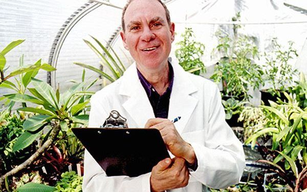 Los intelectuales modernos de la marihuana
