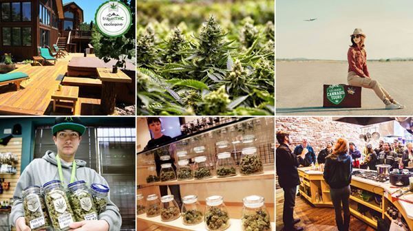 El AirBnB de la marihuana