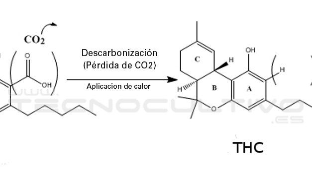 Como descarbonizar marihuana