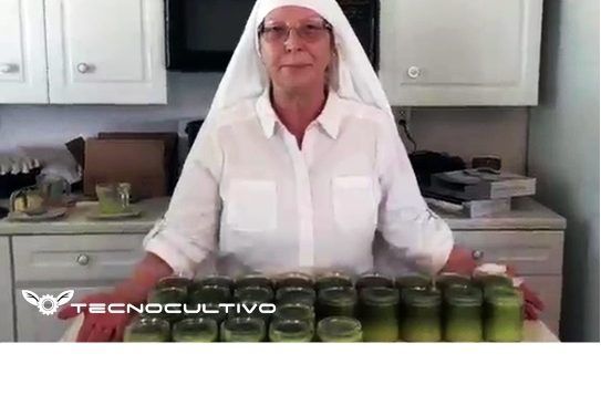 El secreto de «las monjas de la marihuana»
