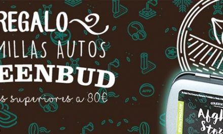 Greenbud Seeds, nuevo banco semillas de cannabis