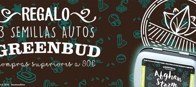 Greenbud Seeds, nuevo banco semillas de cannabis