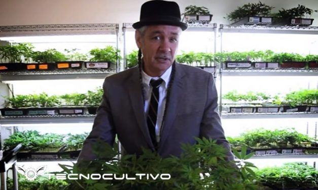El mayor centro dispensario de marihuana
