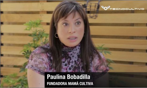 Qué es y cómo trabaja la Fundación Mamá Cultiva