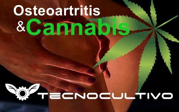 Cannabis para tratar la Osteoartritis