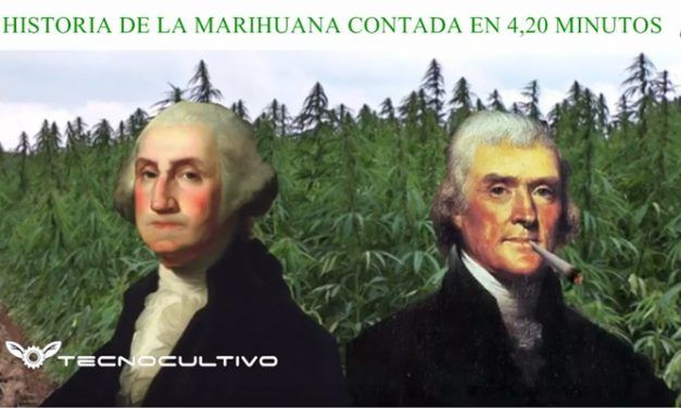 Historia de la marihuana contada en 4 minutos y 20 segundos