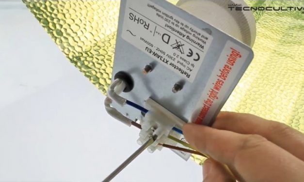 Cómo conectar un foco de cultivo de interior