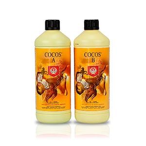 House-and-garden-coco-ab House-and-garden-coco-ab