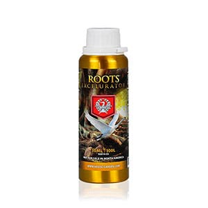 House-and-garden-roots-excelulator House-and-garden-roots-excelulator