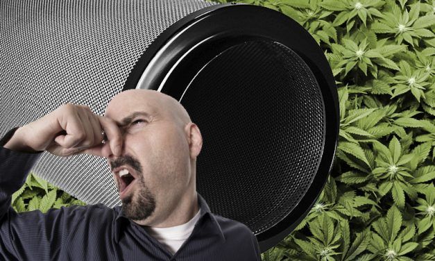 Comparativa filtros de carbón activo para cultivo de marihuana interior.