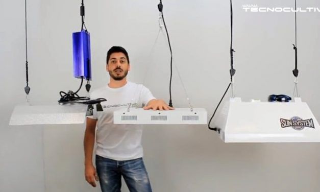 Comparativa iluminación para cultivo de marihuana