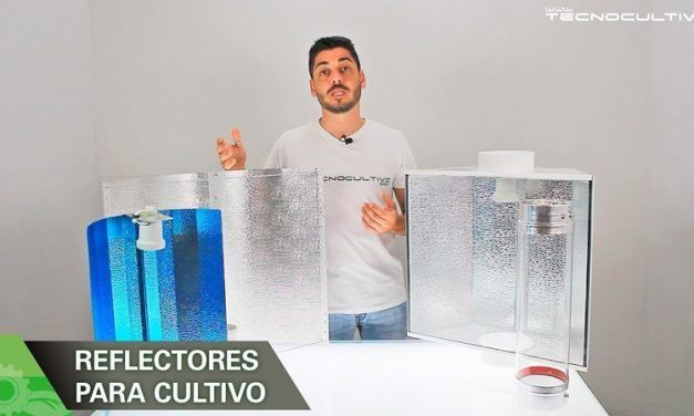 Reflectores para el cultivo interior de marihuana