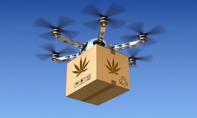 Robots en el cultivo de cannabis