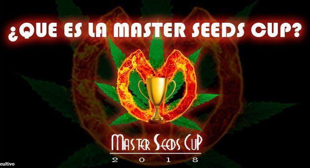 ¿Que es la Master Seeds Cup España 2018?