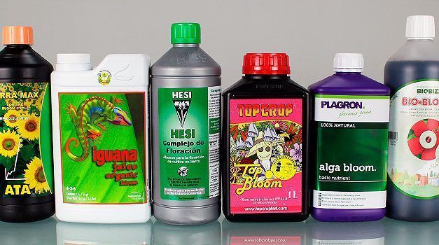 El mejor fertilizante para floración