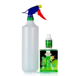 pack-prevencion-plagas-y-hongos-marihuana pack-prevencion-plagas-y-hongos-marihuana