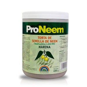 torta-de-neem torta-de-neem