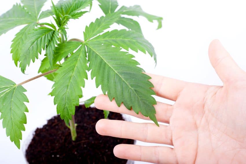 Cómo entender y utilizar la tabla BIOBIZZ