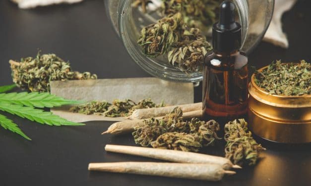 Conoce los tipos de marihuana y sus efectos
