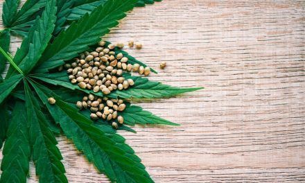 Cómo conservar las semillas de marihuana en casa