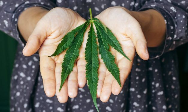 Ventajas e inconvenientes de una asociación cannábica