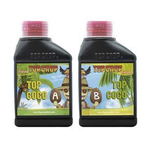 Top Coco A + Top Coco B